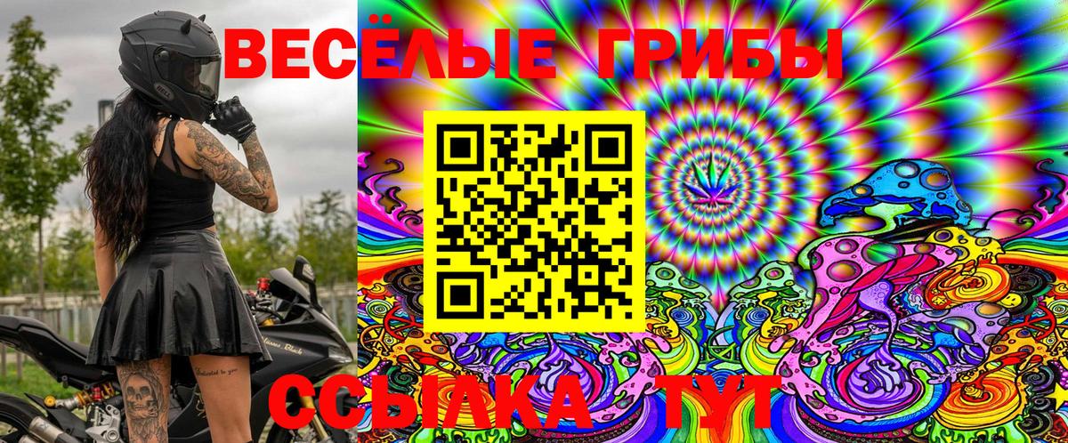 Псилоцибиновые грибы мицелий  Псилоцибиновые грибы Cubensis  Азов  Вход с VPN 